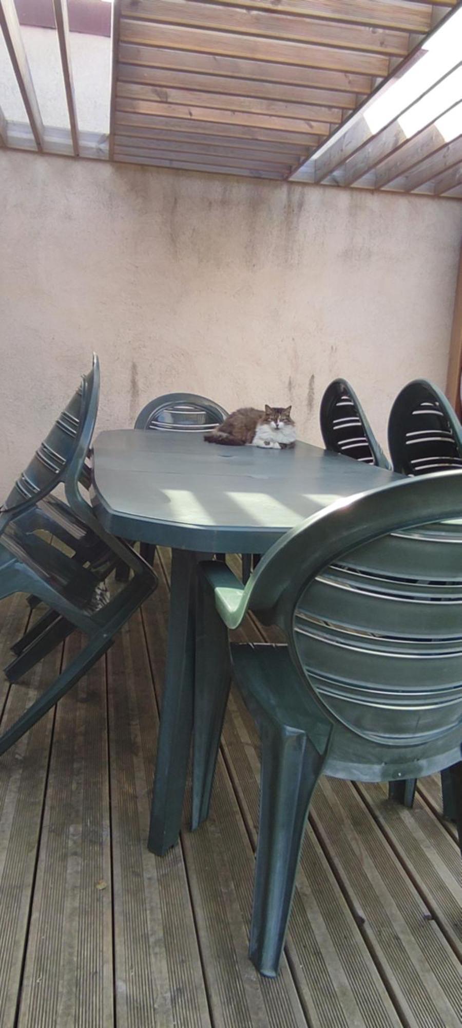 Berck Maison De Vacances Avec Terrasse Et Jardin, Luaran gambar